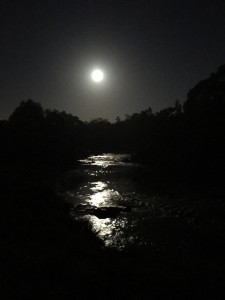 Full moon in Abbotsford